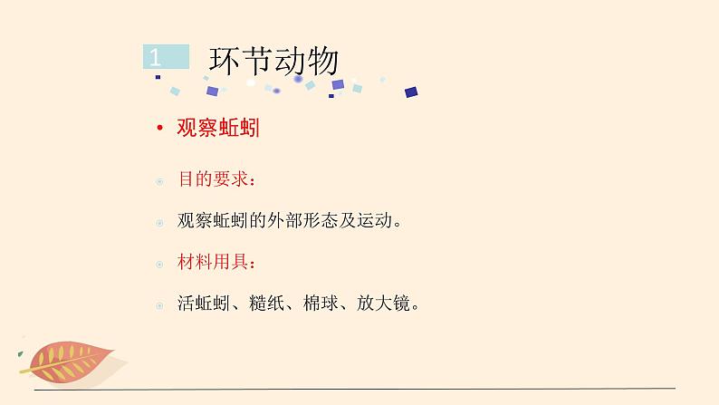 7.1.2 线形动物和环节动物(课时1)课件 初中生物鲁科版(五四制) 八年级上册(2021年)第5页