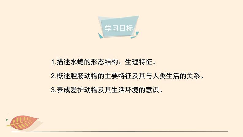 7.1.1 腔肠动物和扁形动物(课时1)课件 初中生物鲁科版(五四制) 八年级上册(2021年)04