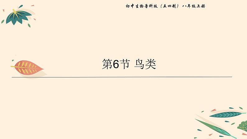 鸟类PPT课件免费下载01