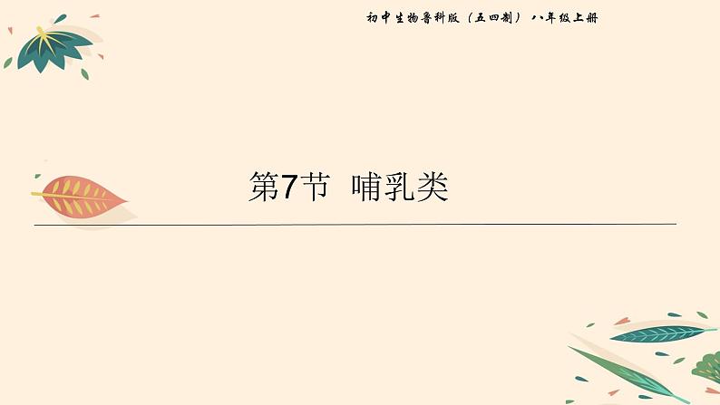7.1.7 哺乳类 课件 初中生物鲁科版(五四制) 八年级上册(2021年)第1页