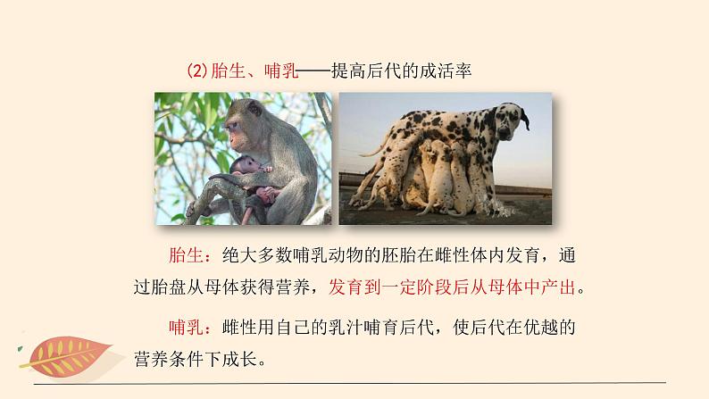 7.1.7 哺乳类 课件 初中生物鲁科版(五四制) 八年级上册(2021年)第6页
