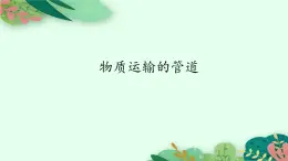 物质运输的管道PPT课件免费下载