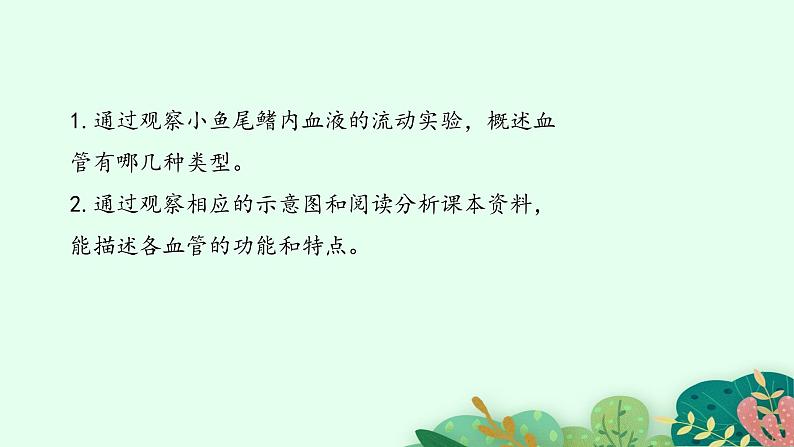 2021-2022学年初中生物鲁科版(五四制) 七年级上册 4.4.2 物质运输的管道 课件第4页
