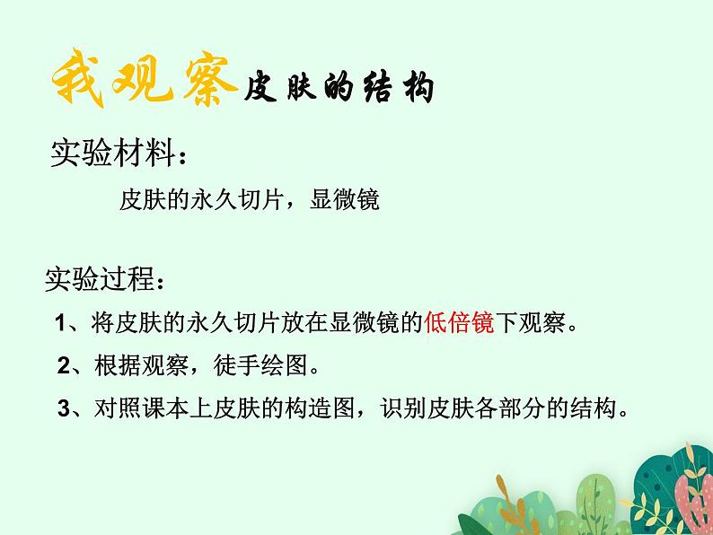 2021-2022学年初中生物鲁科版(五四制) 七年级上册 4.5.2 汗液的形成和排出 课件03