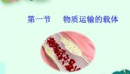 物质运输的载体PPT课件免费下载