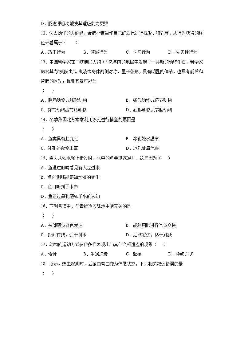 山東省煙臺市萊州市2021-2022學(xué)年八年級上學(xué)期期中生物試題（word版 含答案）第3頁