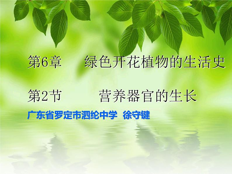 第三课时--营养器官的生长课件PPT第3页