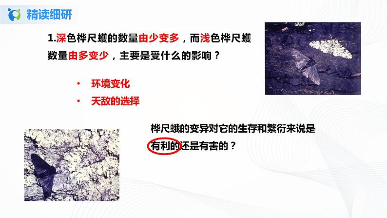 【核心素养目标】人教版初中生物八年级下册7.3.3《生物进化的原因》课件+视频+教学设计+同步分层练习(含答案)08