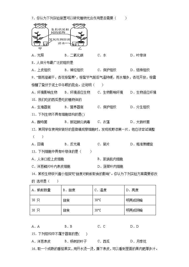 广东省湛江雷州市2021-2022学年七年级上学期期中生物试题(word版 含答案)第2页