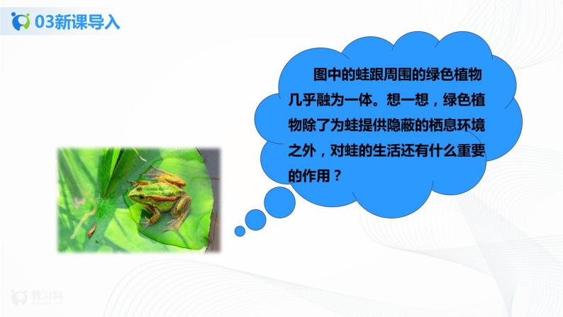 3.4 绿色植物是生物圈中有机物的制造者 课件PPT+教案+练习05