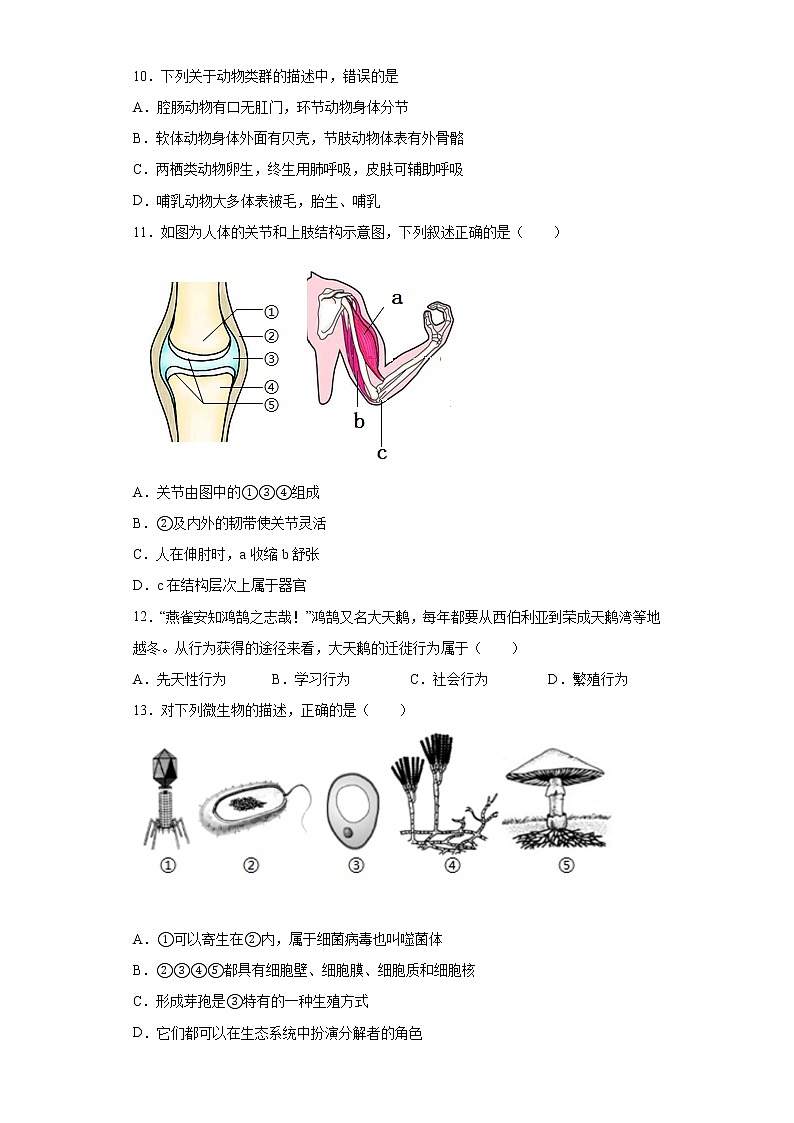 山东省菏泽市定陶区2021-2022学年九年级上学期期中生物试题(word版 含答案)第3页