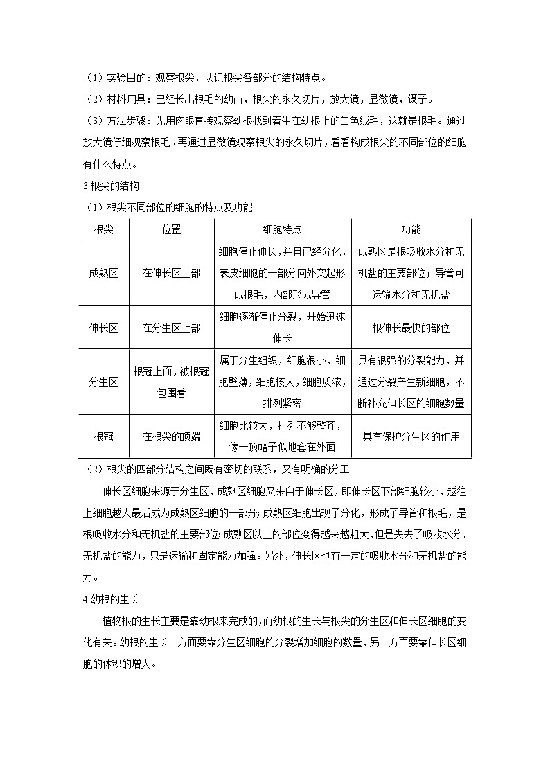 3.2.2 植株的生长 课件PPT+教案+练习02