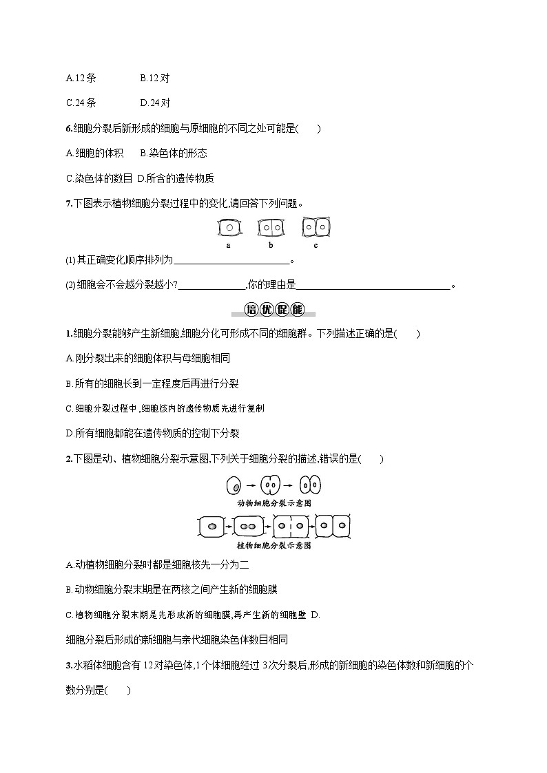 人教版七年级生物上册《2-2-1 细胞通过分裂产生新细胞》作业同步练习题及参考答案第2页