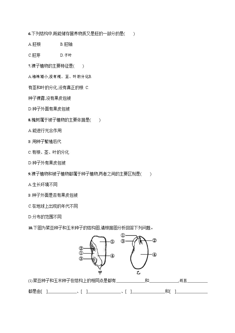 人教版七年级生物上册《3-1-2 种子植物》作业同步练习题及参考答案02