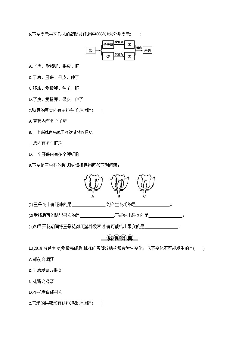 人教版七年级生物上册《3-2-3 开花和结果》作业同步练习题及参考答案02