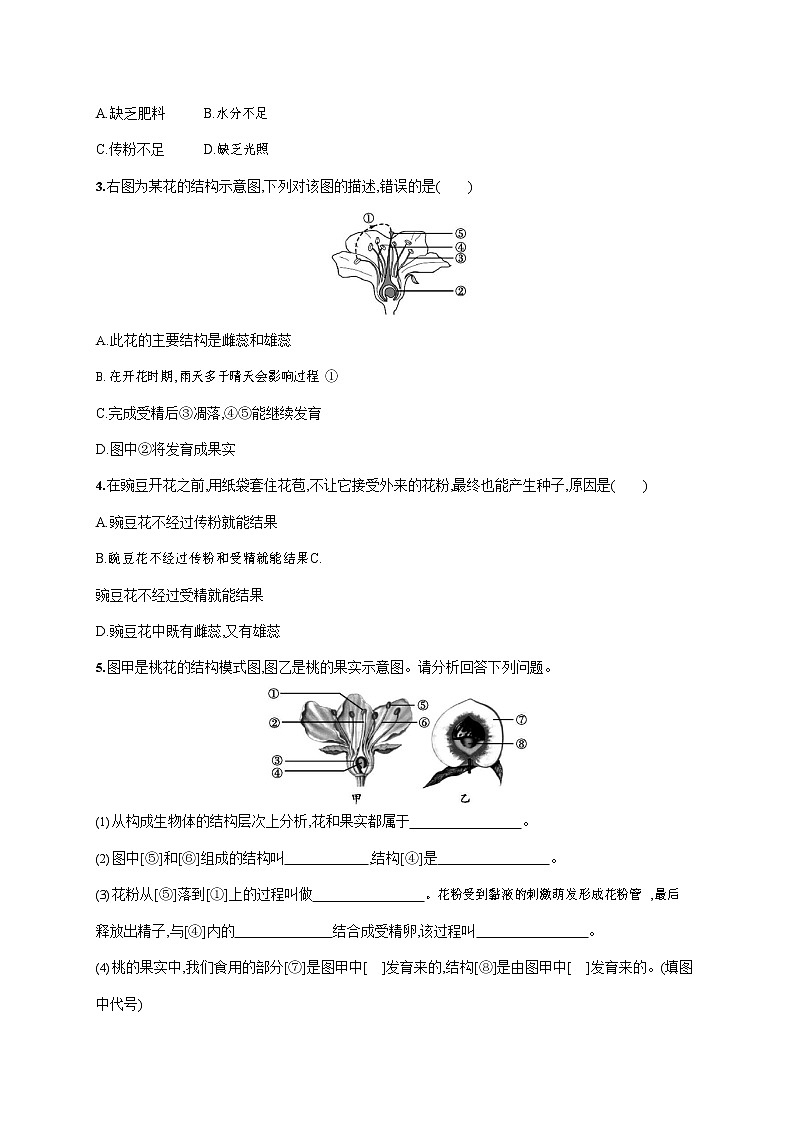 人教版七年级生物上册《3-2-3 开花和结果》作业同步练习题及参考答案03