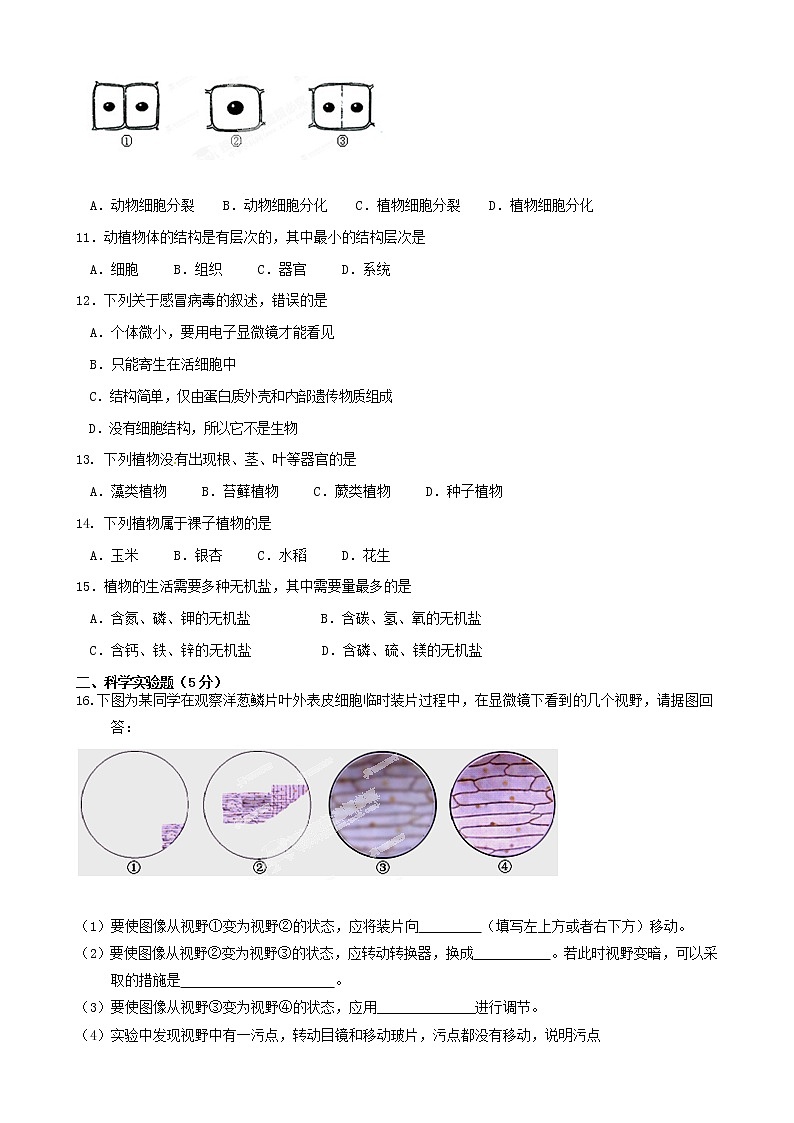 初一上学期生物期末模拟试卷及答案第2页