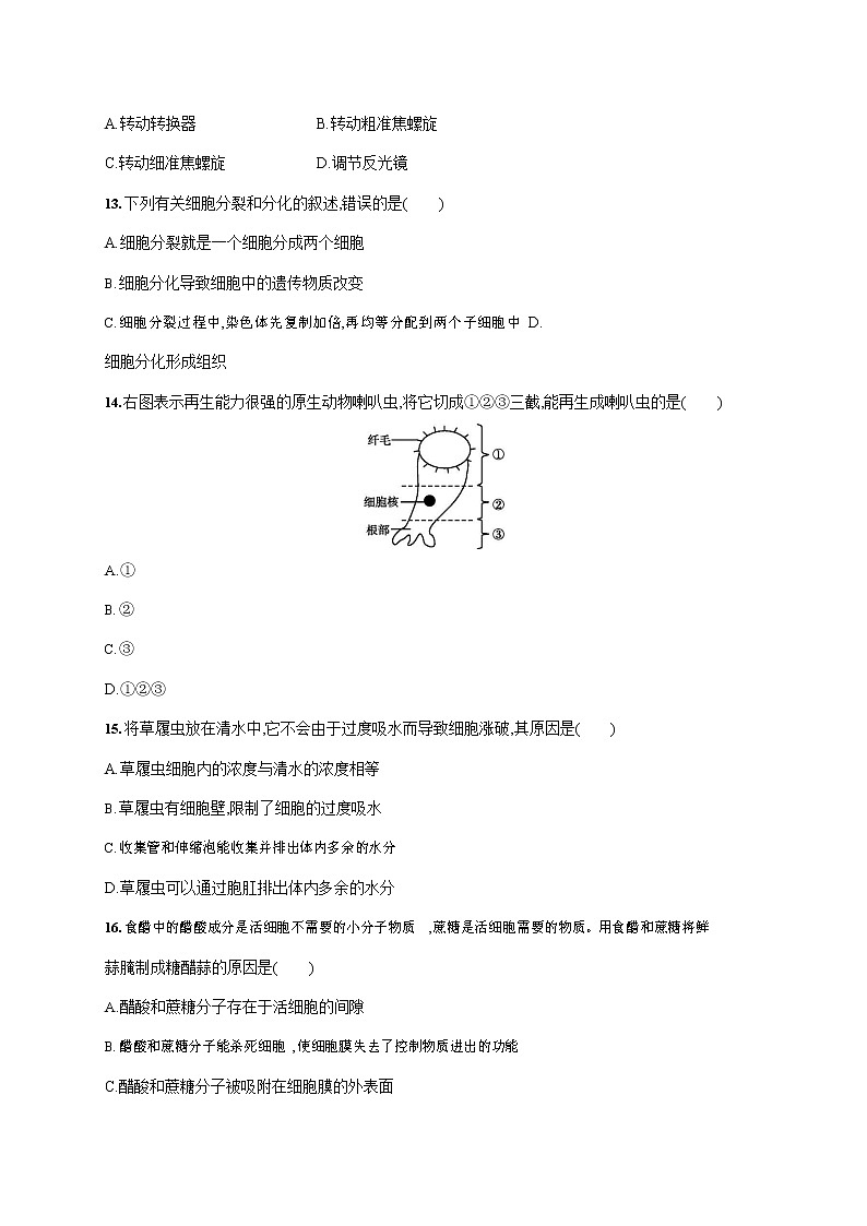 人教版七年级生物上册《第二单元综合测试卷》测试题及参考答案03