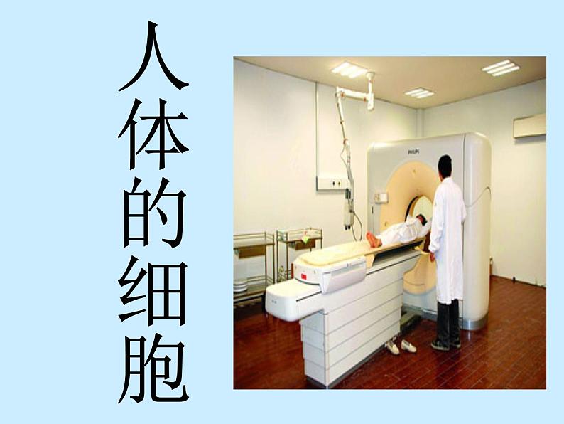 上海版八年级上册生物 1.1.1 人体内的细胞是如何组织起来的 课件 (共25张PPT)第2页