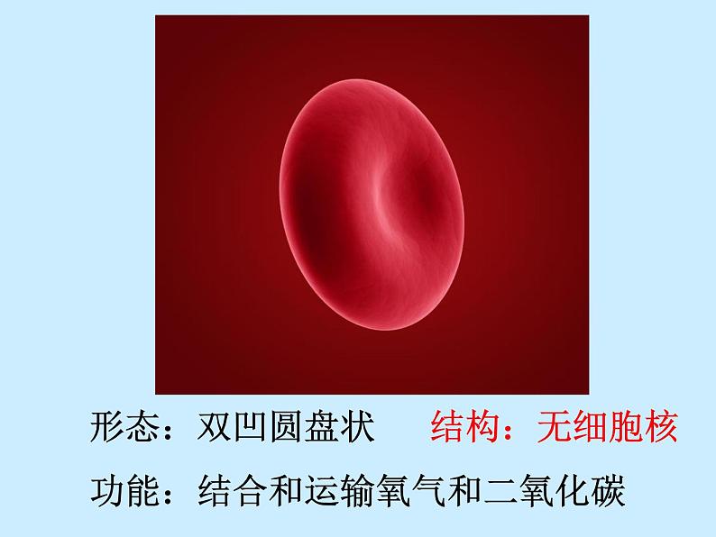 上海版八年级上册生物 1.1.1 人体内的细胞是如何组织起来的 课件 (共25张PPT)第5页