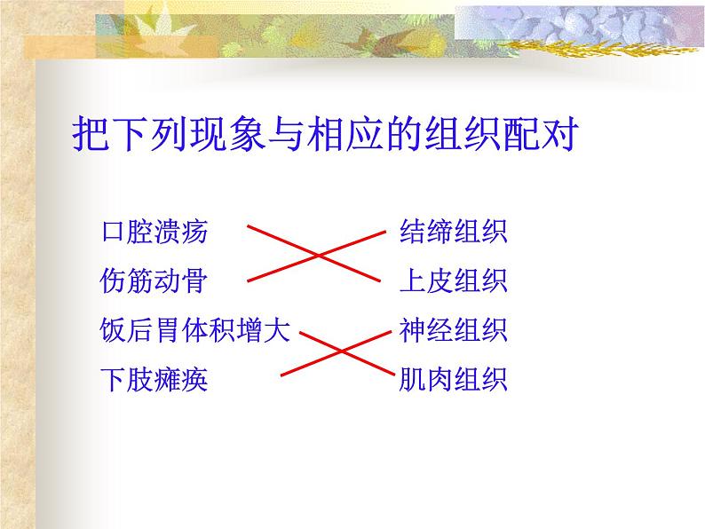 上海版八年级上册生物 1.1.2 器官是由什么构成的(1)器官的概念 课件 (共16张PPT)01