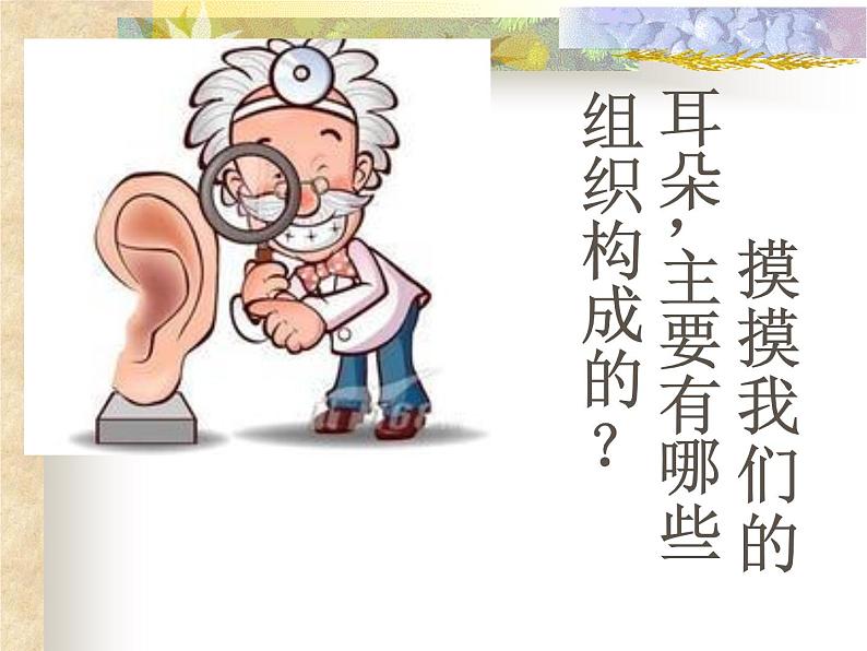 上海版八年级上册生物 1.1.2 器官是由什么构成的(1)器官的概念 课件 (共16张PPT)02