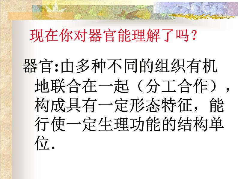 上海版八年级上册生物 1.1.2 器官是由什么构成的(1)器官的概念 课件 (共16张PPT)08