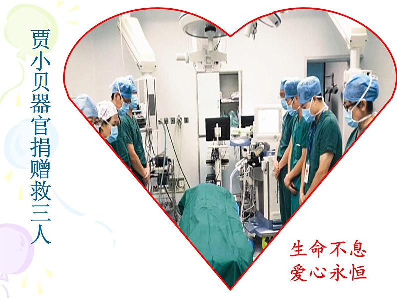 上海版八年级上册生物 1.1.2 器官是由什么构成的(1)器官的概念 课件 (共21张PPT)01