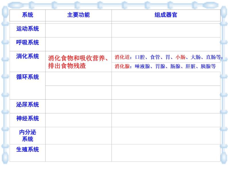 上海版八年级上册生物  1.1.4 人体的结构层次 课件   (共21张PPT)05
