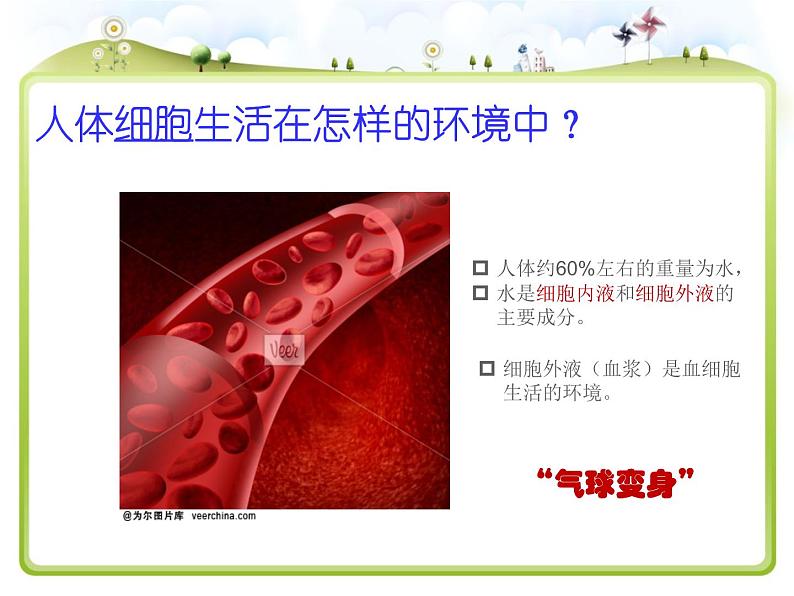 上海版八年级上册生物 1.2.2 人体的内环境 课件 (共16张PPT)08