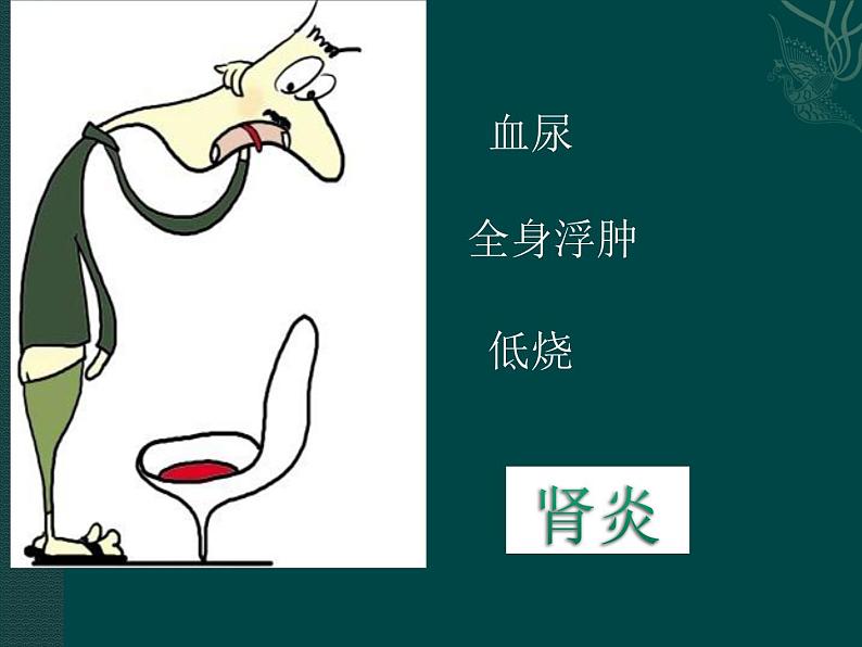 上海版八年级上册生物 1.2.7 泌尿系统是如何维持内环境稳定的 课件 (共20张PPT)01