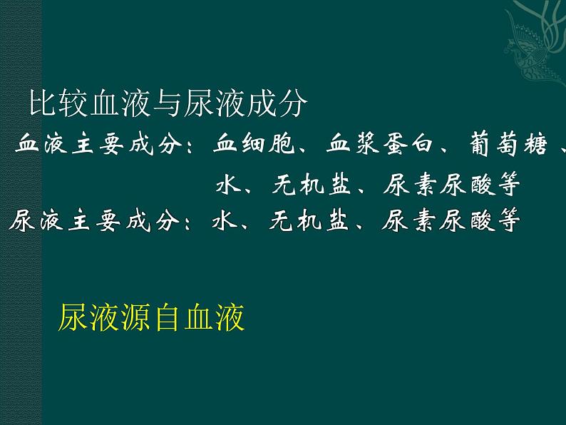 上海版八年级上册生物 1.2.7 泌尿系统是如何维持内环境稳定的 课件 (共20张PPT)05
