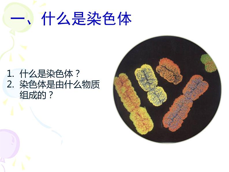 上海版八年级上册生物 2.3.2 染色体与人体性别决定 课件 (共21张PPT)第3页