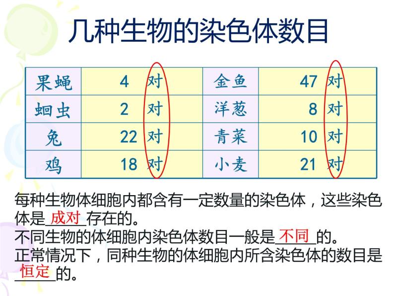 上海版八年级上册生物  2.3.2 染色体与人体性别决定 课件   (共21张PPT)08