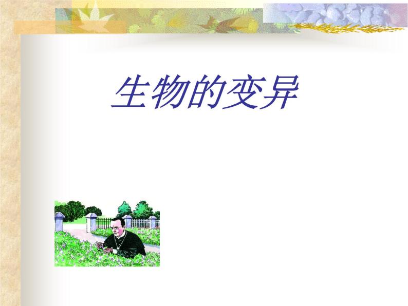 上海版八年级上册生物  2.3.6 生物的变异（2） 课件   (共27张PPT)01