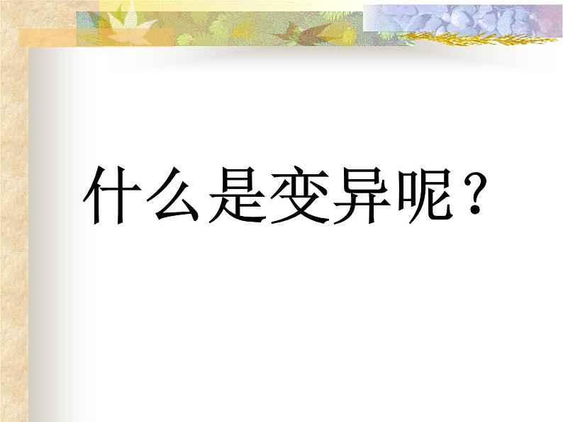 上海版八年级上册生物 2.3.6 生物的变异(2) 课件 (共27张PPT)第3页
