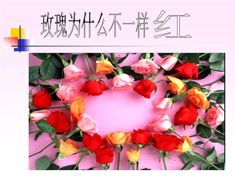 上海版八年级上册生物 2.3.5 生物变异(1) 课件 (共27张PPT)第7页