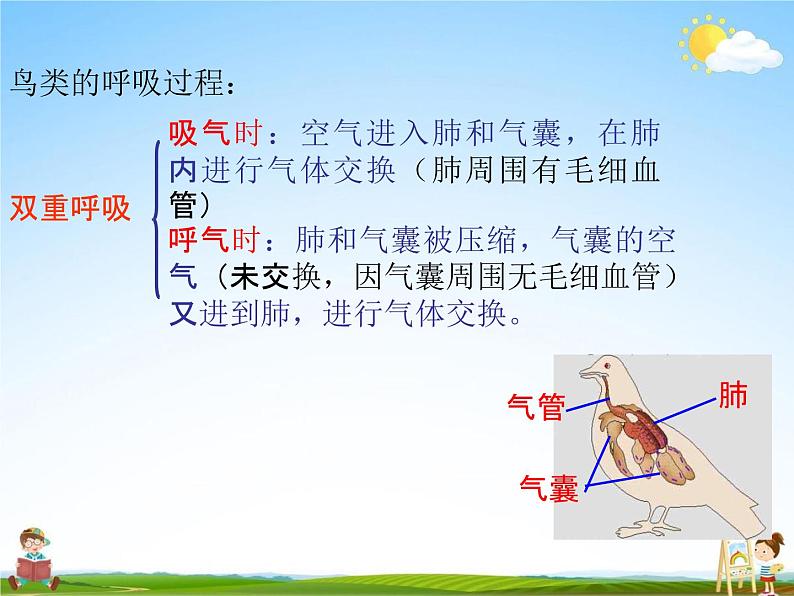 鸟PPT课件免费下载07
