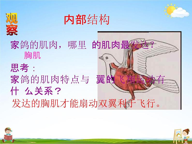 鸟PPT课件免费下载08