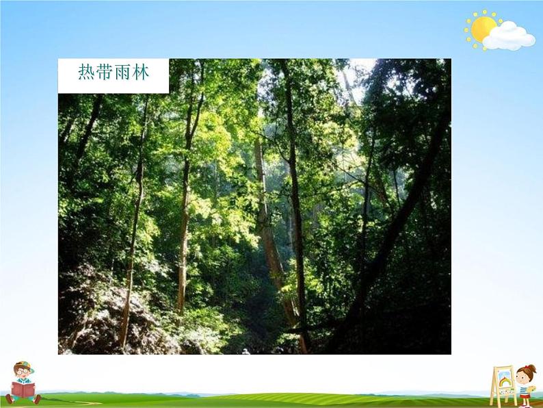人教版七年级生物上册《3-6 爱护植被,绿化祖国》教学课件PPT初一优秀公开课第6页