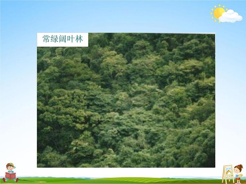 人教版七年级生物上册《3-6 爱护植被,绿化祖国》教学课件PPT初一优秀公开课第8页