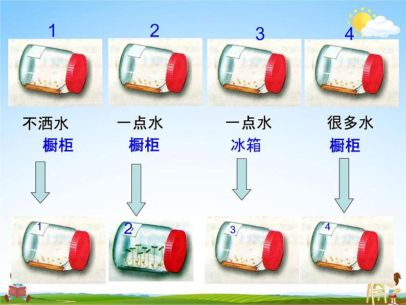 人教版七年级生物上册《3-2-1 种子的萌发》教学课件PPT初一优秀公开课07