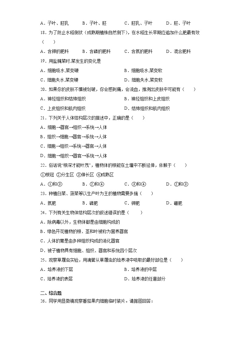 河南省洛阳市偃师市2021-2022学年七年级上学期期中生物试题（word版 含答案）03