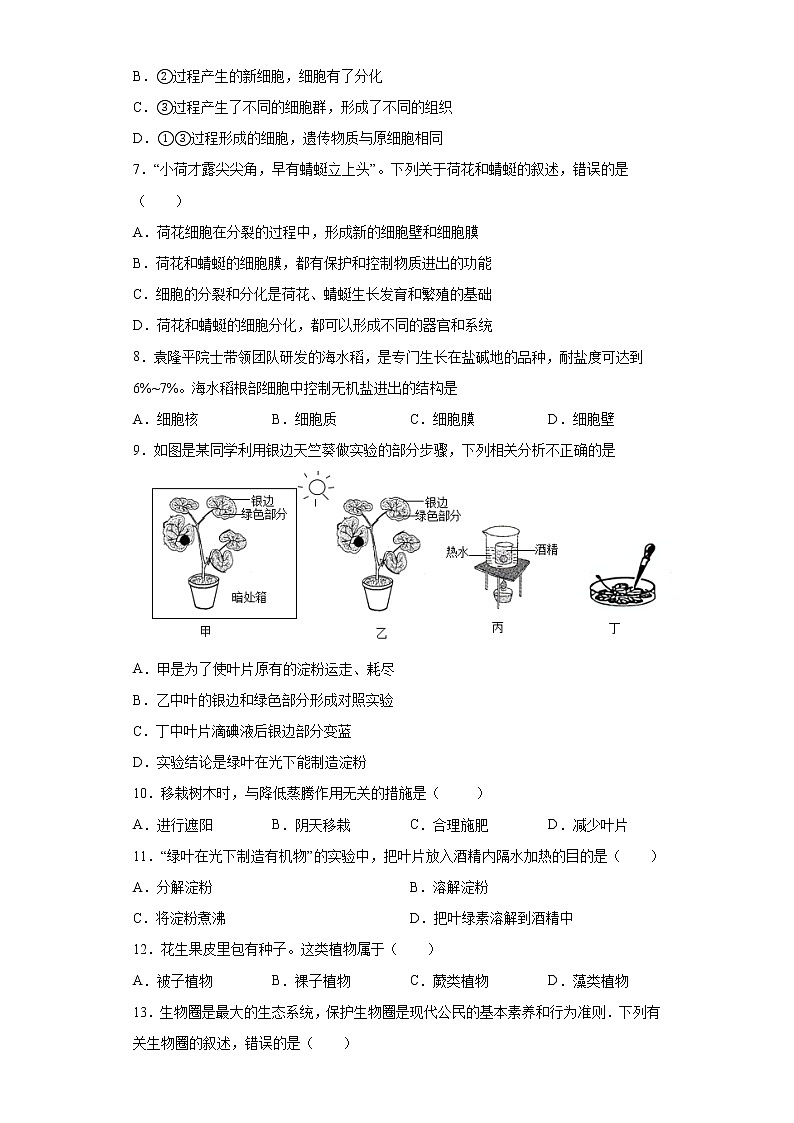 山东省枣庄市台儿庄区2021-2022学年七年级上学期期中生物试题(word版 含答案)02