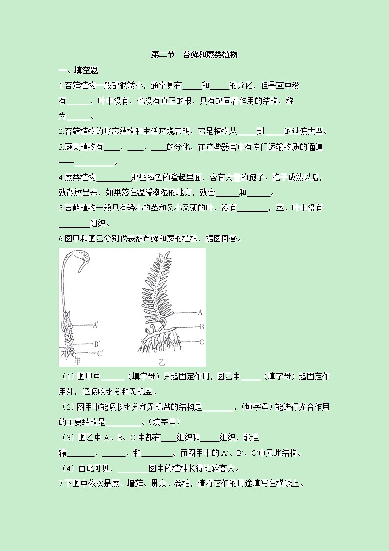 《苔藓和蕨类植物》同步练习第1页