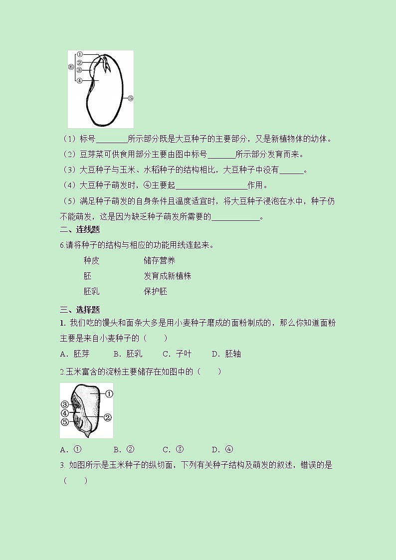 《种子植物》同步练习第2页