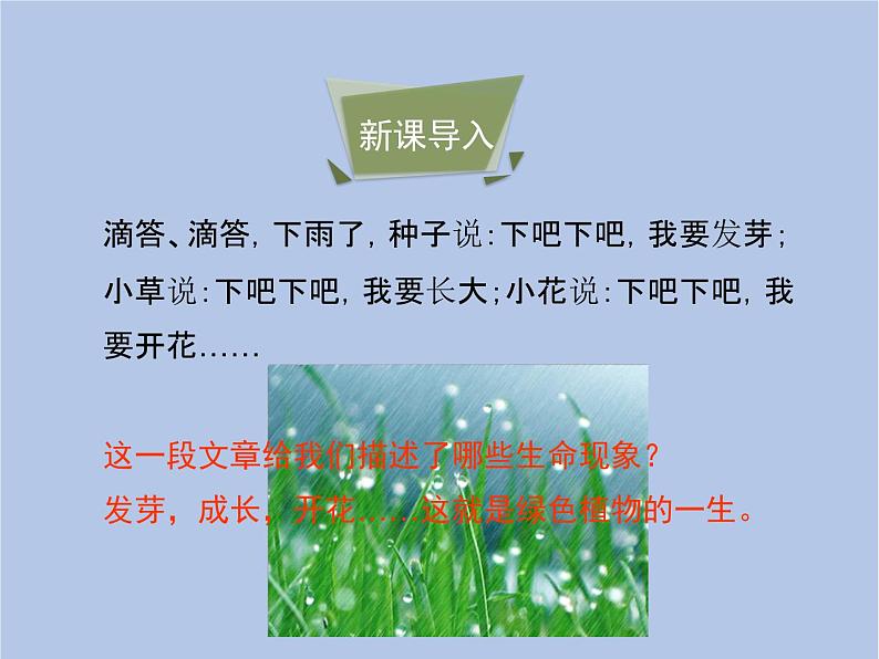 3.2.1《种子的萌发》第一课时课件第3页