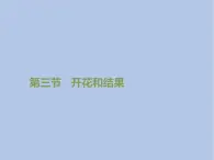 3.2.3《开花和结果》课件