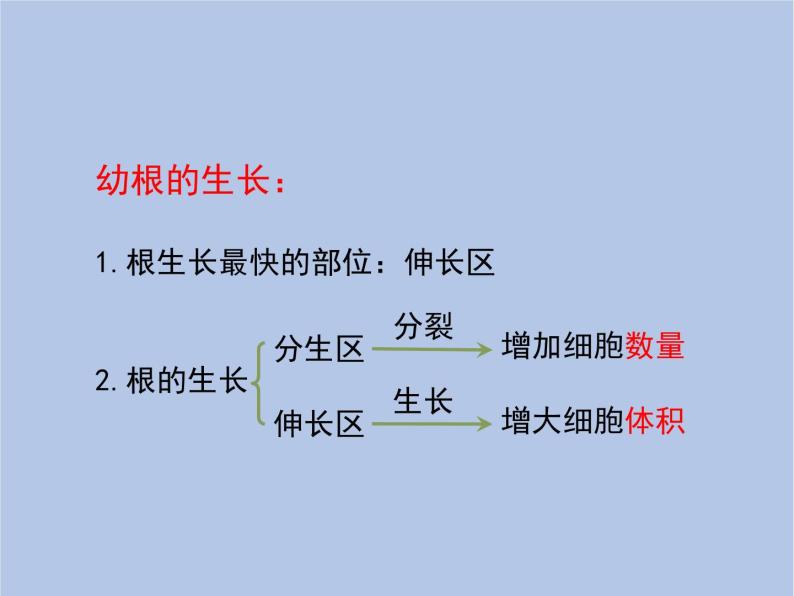 3.2.2《植株的生长》课件08