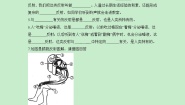 初中生物鲁科版 (五四制)七年级下册第三节 神经调节的基本方式精品练习